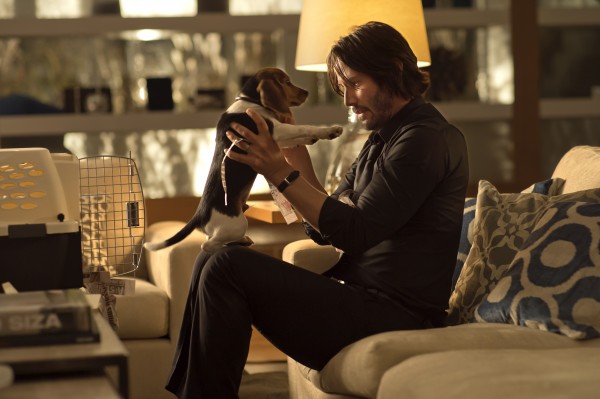 John Wick Holding Dog